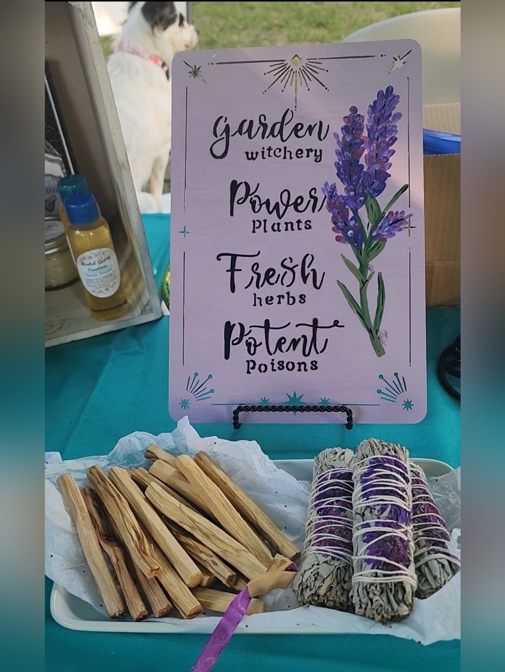 MOXIE IS LIVE!! GIVE THIS FLYER A LIKE TO SEE WHEN I GO LIVE!🦋🌺🧿 - Picture 4 of 15